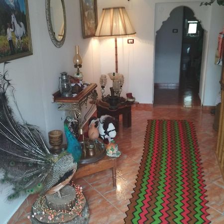 Karafil Guesthouse Gjirokastër Esterno foto