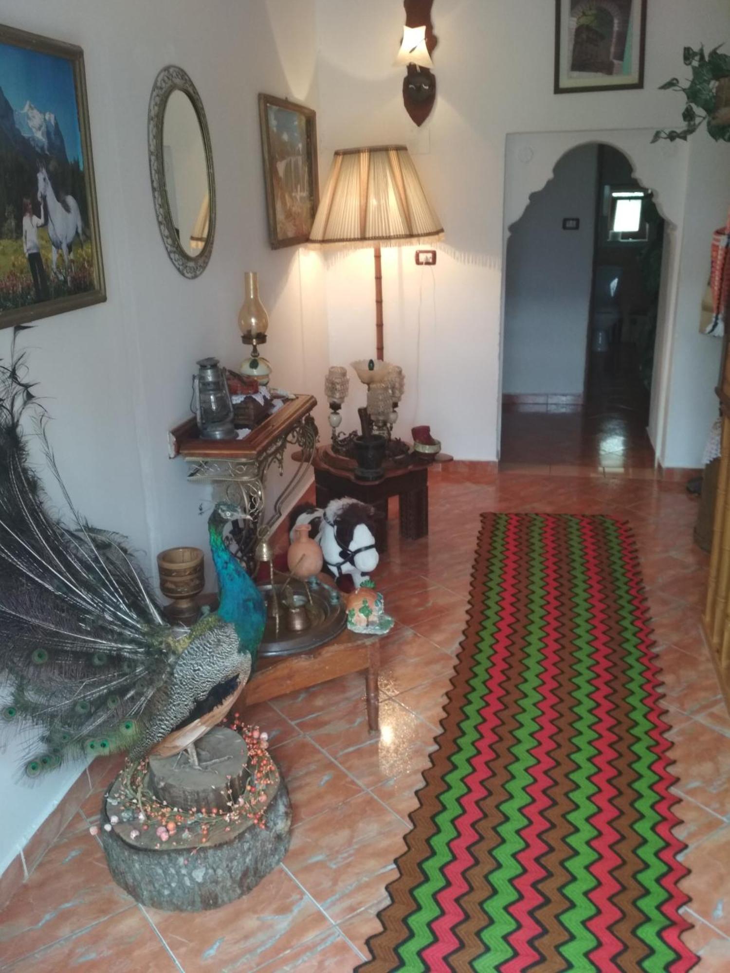 Karafil Guesthouse Gjirokastër Esterno foto